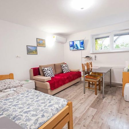 Newly Renovated Studio With Air Conditioner & Free Parking Любляна Екстер'єр фото